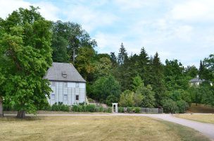 Die Wiese vor Goethes Gartenhaus gleicht einer Steppenlandschaft. Foto: Klassik Stiftung Weimar